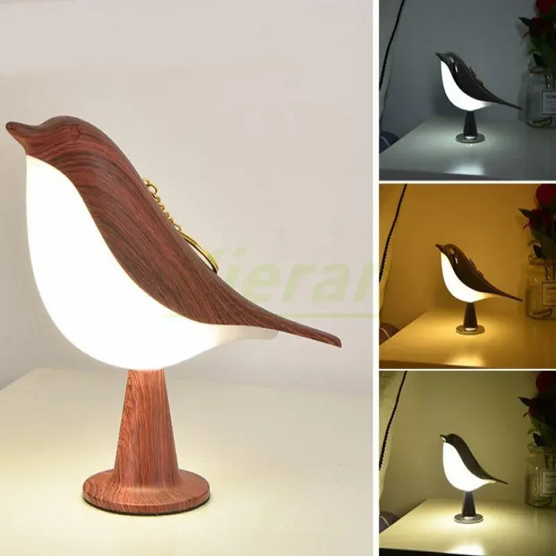 BirdZen Lampada